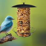 Hanging Bird Food Dispenser, Functional Feeding Station, Easy to Clean and Fill for Balcony,