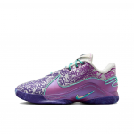 Nike LeBron 22 EP 'Frozen Grapes' HV8453-001 41