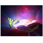 Teemanttikandid Liblikas k&auml;es maastik Ulli teemantkividega pilt Ristpistes kaunistus 20X30CM