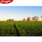 Full Drill Teemantmaali maastik Teemantkunst Mosaiik Pastoraalne Tikand Portree Kodukaunistus 20X30CM