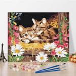 DIY Maalimine numbrite j&auml;rgi Kunst numbrid Maalimine Hobid Digitaalne &otilde;limaal K&auml;sit&ouml;&ouml; Kodukaunistamine 40x50cm no frame