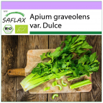 SAFLAX &ndash; Orgaaniline &ndash; Pascali seller &ndash; Tall Utah &ndash; 500 seemet &ndash; Apium graveolens
