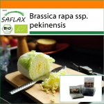 SAFLAX - Aed kotis - Mahe - Hiina kapsas - Granaat - 40 seemet - Substraadiga sobivas p&uuml;stises kotis - Brassica rapa