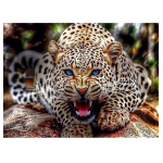 3D-teemanttikandid ristpistes &uuml;mmarguse kivimaaling loomaleopardiga Full Round 20x25CM