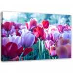 L&otilde;uendiprint Tulips Red Purple Flower 60x40 roosa