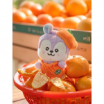 BT21 Baby Orange Party v&auml;ikesed pl&uuml;&uuml;sist nukud (7 Valikud) MANG