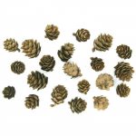 Pommes de pin 1,5 &agrave; 3 cm 20 pi&egrave;ces