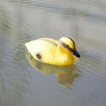 4x Highly Plastic Small Duck Hunting Decoy decor
