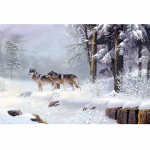 Winter Wolves Pack Art Full Drill Teemanttikandid Mosaiik Kingitus Tee ise Teemant K&auml;sit&ouml;&ouml;maali Teemant 20X30CM