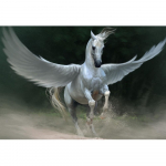 Teemantmaal  lendav hobune  DIY 5D tikandid ristpistes t&auml;isnurkne / &uuml;mmargune teemantmosaiik Kodukaunistuse kunst Full Square (20X30CM)