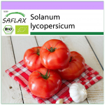 SAFLAX &ndash; Orgaaniline &ndash; Tomat &ndash; Saint Pierre &ndash; 15 seemet &ndash; Solanum lycopersicum