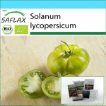 SAFLAX - Kinkekomplekt - Orgaaniline - Tomat - Roheline Sebra - 10 seemet - Kinkekarbi, kaardi, etiketi ja potisubstraadiga - Solanum lycopersicum