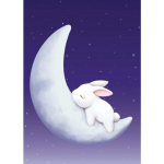 5D isetehtud teemantmaalimine, loomad Kuul, teemanttikand, ristpistekomplekt, t&auml;iskividega mosaiik, kodukaunistused Round 20x30cm