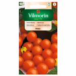 Venus r&otilde;dutomatite seemned 0,3g - VILMORIN
