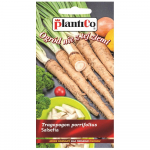 Salsify Mammouth k&ouml;&ouml;giviljaseemned aeda 2g