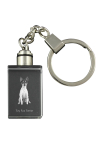 Toy Fox Terrier, American Toy Terrier, Amertoy - Crystal key ring with dog photo, illuminated key ring, unique gift by Art-Dog brand