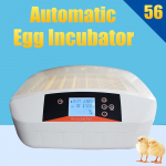 56 muna digitaalne intelligentne automaatne inkubaator 80W temperatuurikontrolliga digitaalne linnukasvatusmasin t&auml;isautomaatne kodune haudumine