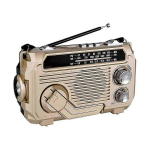 FM AM SW Raadio P&auml;ikesep&otilde;hine Laadimine H&auml;daolukorra Raadiod Vastuv&otilde;tja K&auml;siv&auml;nda Bluetooth 5.2 Toetab TF USB Kuldne