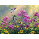 5D DIY Teemantmaali Koolibri Teemanttikandid Mosaiik Ristpistes Rhinestone 20X30CM