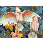 Teemanttikandid Ring Papagoi Teemantmaal Rhinestone'i kristallmaal Kodukaunistus 20X30CM