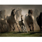 Teemanttikandid Mosaiikmaalikomplektid Seinaristi kleebis Horse Run L&otilde;&otilde;gastuspilt Kodukaunistus 20X30CM