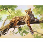 5D DIY Teemantmaaling Leopard Rhinestones Teemanttikandid Loom Teemantmosaiik Ristpiste 20X30CM