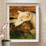 5D Teemantmaal Rhinestones Tikand Ross Teemanttikandid Teemant Kunst Seinakunst Dekoor Full Round 20X30CM