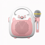 Karaokemasina laetav kaasaskantav karaokek&otilde;lar mikrofoniga BT/m&auml;lukaart/USB roosa