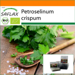 SAFLAX - Aed kotis - Orgaaniline - Lihtne petersell - 600 seemet - Substraadiga sobivas p&uuml;stises kotis - Petroselinum crispum