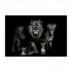 Mustvalge loomal&otilde;uendi maalimine Beebil&otilde;vi pere plakat ja prindid Elutoa kaunistamiseks m&otilde;eldud seinapildid Kodukaunistused 70x100cm no frame