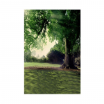 Kevadine muru beebifoto taustal, riidest s&uuml;nnip&auml;evapeotseremoonia sisekujundus, fototaust fotostuudio rekvisiidid 100x150cm