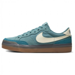 Nike Zoom Pogo Plus SB Noise Aqua Gum Naiste Tossud Sinine Roheline-Abyss Kookosepiim DV5469-401 42.5