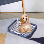 Koera poti tualettliivakast eemaldatav 18,11x13,78x1,97 tolli siseruumides lemmiklooma pissitreener sinine