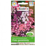 Starry Phlox mix seemned 0,5g lilled aeda