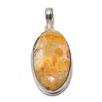 Fossil Coral Gemstone Handmade 925 Sterling Silver Jewelry Pendant 2.09 m8l62