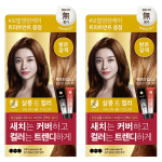 Elastine Salon de Color & Grey Hair Dye, helepruun, 2 tk black