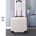 18-tollised kerged nahast k&auml;sipagasikohvrid universaalratastega reisimiseks 18-inch Carry-on