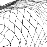 Nailonist Linnuv&otilde;rk Linnuvastane P&uuml;&uuml;nisv&otilde;rk Tiigi Puuviljapuu Lilleaed V&otilde;rk Kaitsev Kanakuut Kahjurit&otilde;rjevahend Kalastusv&otilde;rk