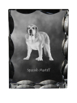 Spanish Mastiff, Mast&iacute;n Espa&ntilde;ol - crystal with a picture of a dog, glass statuette with a picture, unique frame with a picture from Art-Dog brand