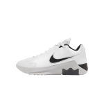 Nike LeBron Witness 9 EP Valge Must HQ8035-100 42.5 white