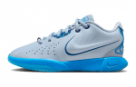 Nike LeBron 21 Sinine Sukelduja GS FV1210-400 38.5
