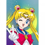 V&auml;rvimine numbrite j&auml;rgi raamiga Maalid v&auml;rvimiseks Sailor Moon 40x50 cm