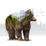 5D teemantmaal T&auml;is&uuml;marad loomakaru teemanttikandid 20X30CM