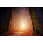 5D teemantmaal T&auml;is&uuml;mmargune h&auml;mar kuuvalgusmaastik Maastiku teemanttikandid 20X30CM