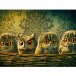 5D t&auml;isnurkne ruudukujuline teemanttikandid, ristpistes &ouml;&ouml;kull teemantmaaling kivist pilt k&auml;sitsi valmistatud kingitus Full Round (20X30CM)