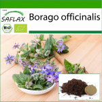 SAFLAX &ndash; Orgaaniline &ndash; Kurgirohi &ndash; 40 seemet &ndash; Potisubstraadiga paremaks kasvatamiseks &ndash; Borago officinalis