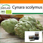SAFLAX - Aed kotis - Orgaaniline - Arti&scaron;okk - Imperial Star - 5 seemet - Substraadiga sobivas p&uuml;stises kotis - Cynara scolymus