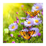 DIY 3D teemantmaalid lillede ja liblikatega tikandid ristpistes k&auml;sit&ouml;&ouml;na kodukaunistus Full Round 20x20CM