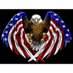 5D DIY t&auml;is&uuml;mmargune teemantmaaling, loomade teemanttikandid  ;Lind ; Lendav kotkas Rhinestone kodukaunistamise kingitus Full Round 20x30CM