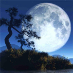 5D teemantmaaling Mandala DIY mosaiik lill t&auml;isruudu/&uuml;mar teemanttikandid Religioosne kodukaunistus K&auml;sit&ouml;&ouml; Full Round 20x20CM